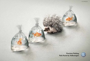 Volkswagen: hedgehog_and_fish_aotw
