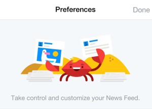 Facebook newsfeed_preferences