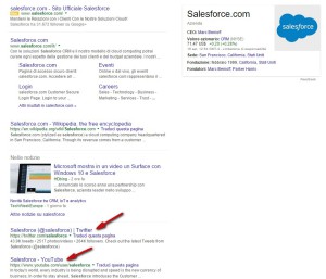 esempio salesforce search Google