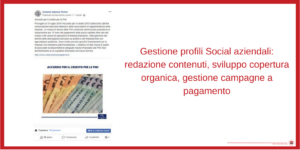 Lettera101 Social Media Management